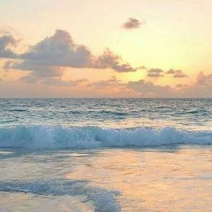 Meet your Posher, Alondra